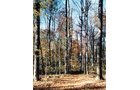 Property photo 7 - 64.4 Acres in 3 Tracts
