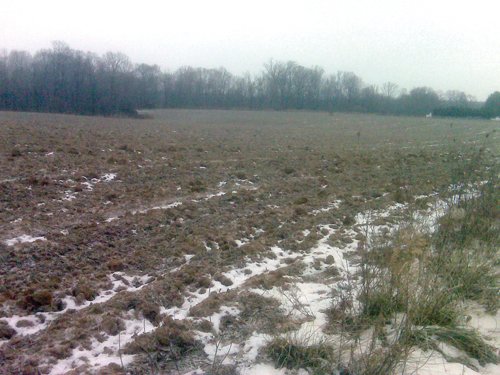 Property photo 1 - 36.17 Acres