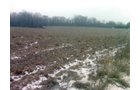 Property photo 1 - 36.17 Acres