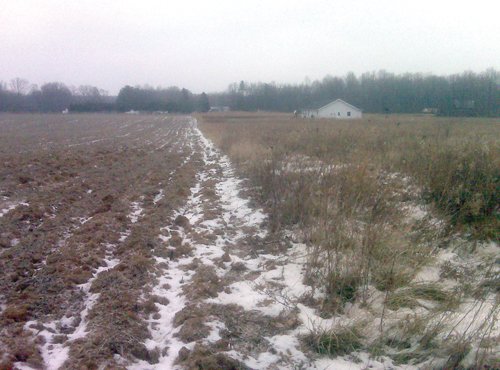 Property photo 2 - 36.17 Acres