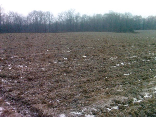 36.17 Acres