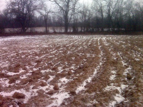 Property photo 3 - 36.17 Acres