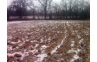Property photo 3 - 36.17 Acres