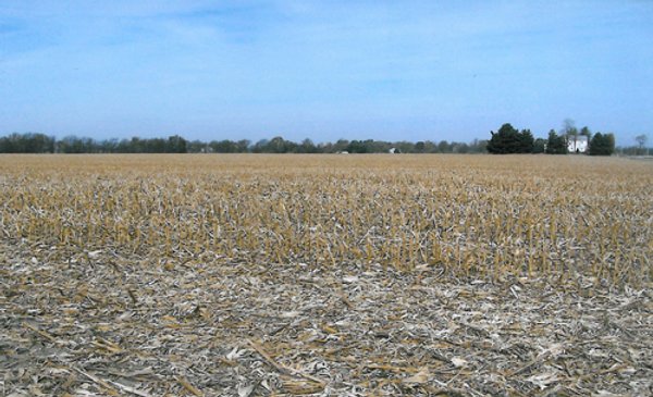 81.605 Acres Offered in 7 Tracts
