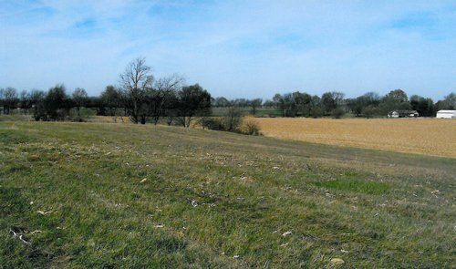 Property photo 2 - 81.605 Acres Offered in 7 Tracts