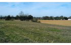 Property photo 2 - 81.605 Acres Offered in 7 Tracts