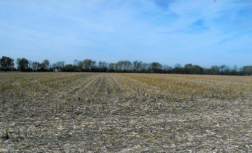 Property photo 3 - 81.605 Acres Offered in 7 Tracts