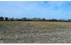 Property photo 3 - 81.605 Acres Offered in 7 Tracts