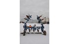 Property photo 44 - Trupointe Fertilizer Equipment Surplus Auction