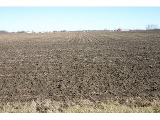 Property photo 18 - 493 Acres Offered in 6 Tracts