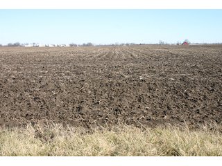 Property photo 29 - 493 Acres Offered in 6 Tracts