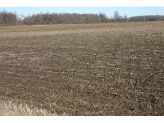 Property photo 6 - 493 Acres Offered in 6 Tracts