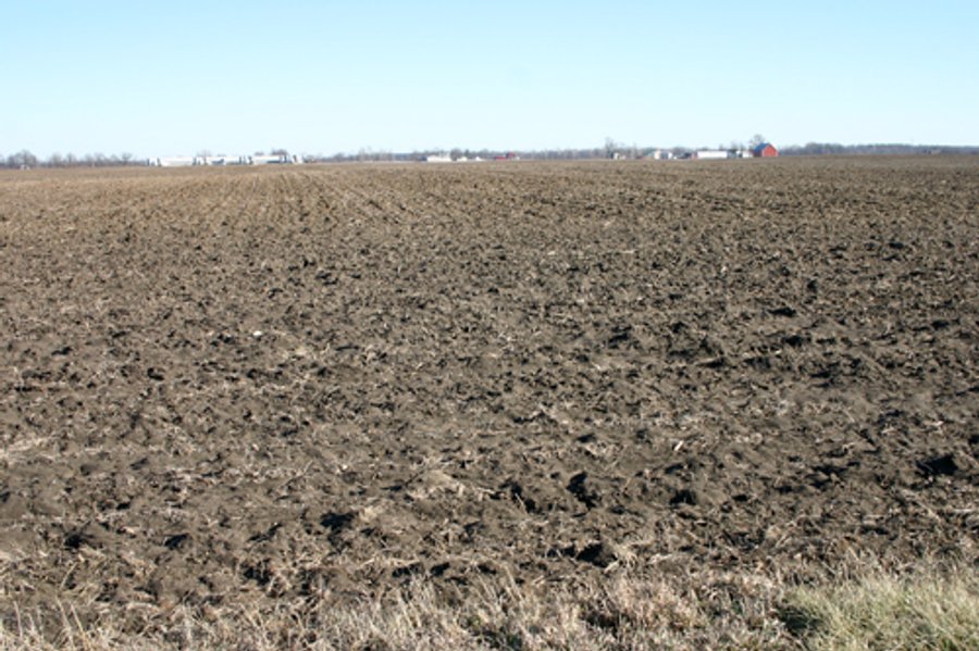493 Acres Offered in 6 Tracts