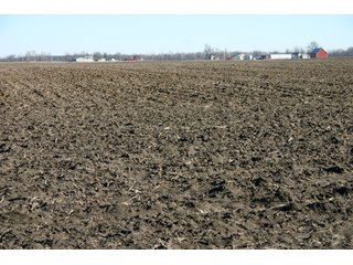Property photo 5 - 493 Acres Offered in 6 Tracts