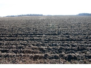 Property photo 27 - 493 Acres Offered in 6 Tracts