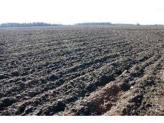 Property photo 15 - 493 Acres Offered in 6 Tracts