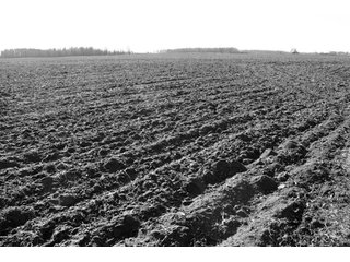 Property photo 25 - 493 Acres Offered in 6 Tracts