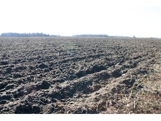 Property photo 17 - 493 Acres Offered in 6 Tracts