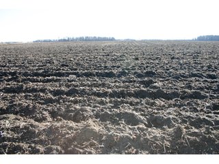 Property photo 23 - 493 Acres Offered in 6 Tracts