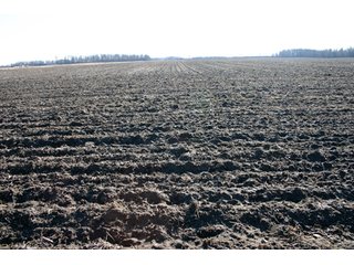 Property photo 19 - 493 Acres Offered in 6 Tracts