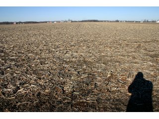 Property photo 11 - 493 Acres Offered in 6 Tracts