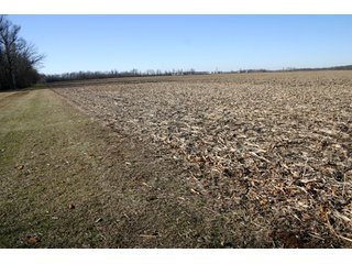 Property photo 9 - 493 Acres Offered in 6 Tracts