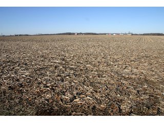 Property photo 12 - 493 Acres Offered in 6 Tracts
