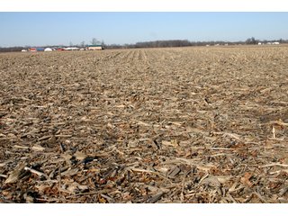 Property photo 32 - 493 Acres Offered in 6 Tracts