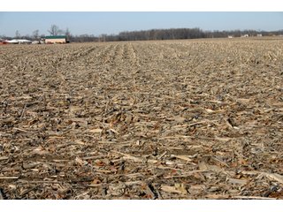 Property photo 14 - 493 Acres Offered in 6 Tracts