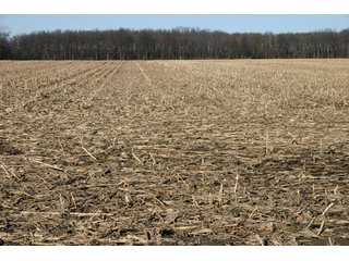 Property photo 28 - 493 Acres Offered in 6 Tracts