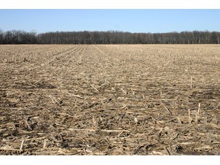 Property photo 8 - 493 Acres Offered in 6 Tracts