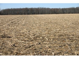 Property photo 22 - 493 Acres Offered in 6 Tracts