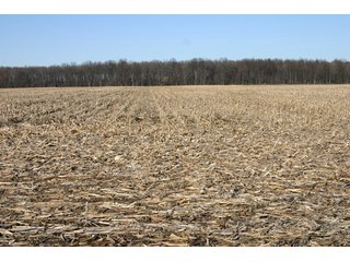 Property photo 33 - 493 Acres Offered in 6 Tracts