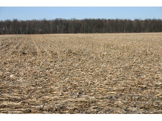 Property photo 31 - 493 Acres Offered in 6 Tracts