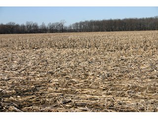 Property photo 30 - 493 Acres Offered in 6 Tracts