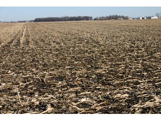Property photo 10 - 493 Acres Offered in 6 Tracts