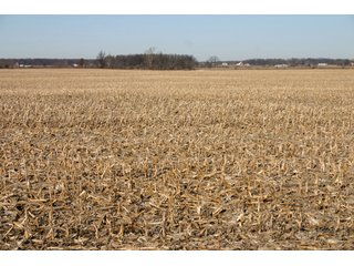 Property photo 4 - 493 Acres Offered in 6 Tracts