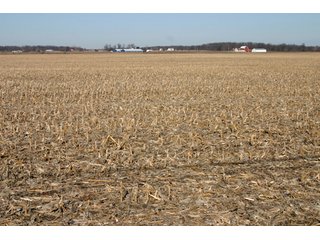 Property photo 7 - 493 Acres Offered in 6 Tracts