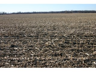 Property photo 2 - 493 Acres Offered in 6 Tracts