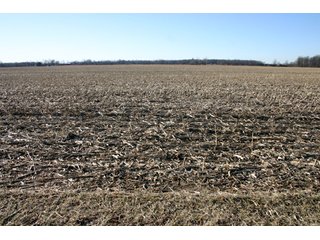 Property photo 13 - 493 Acres Offered in 6 Tracts
