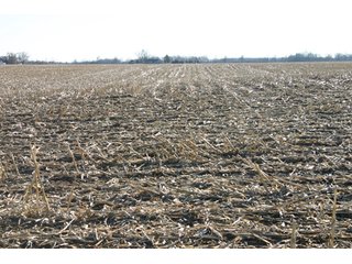 Property photo 1 - 493 Acres Offered in 6 Tracts