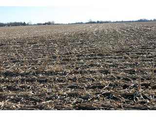 Property photo 26 - 493 Acres Offered in 6 Tracts