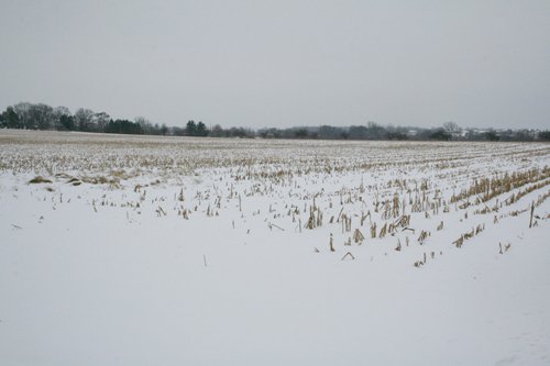 Property photo 12 - 87.6+/- Acres Offered in 4 Tracts