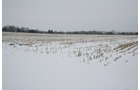 Property photo 12 - 87.6+/- Acres Offered in 4 Tracts