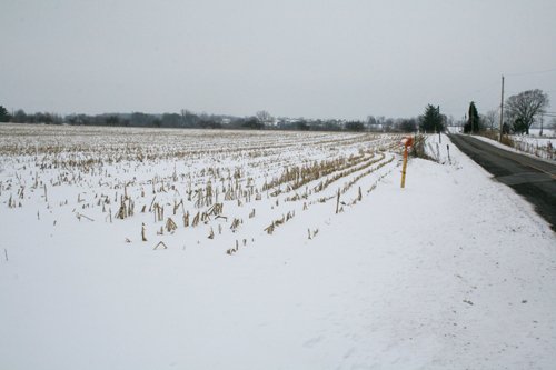 Property photo 1 - 87.6+/- Acres Offered in 4 Tracts