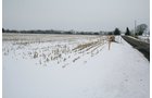 Property photo 1 - 87.6+/- Acres Offered in 4 Tracts