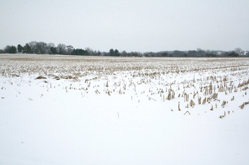 Property photo 8 - 87.6+/- Acres Offered in 4 Tracts