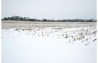 Property photo 8 - 87.6+/- Acres Offered in 4 Tracts