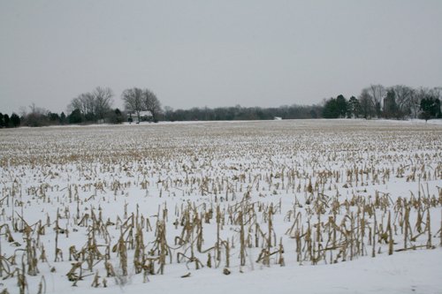 Property photo 10 - 87.6+/- Acres Offered in 4 Tracts