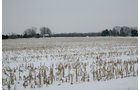 Property photo 10 - 87.6+/- Acres Offered in 4 Tracts